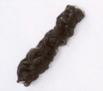 �t�H�b�N�X�e�C��