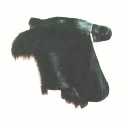 �������E�ނ���t������i���N�U��p�j